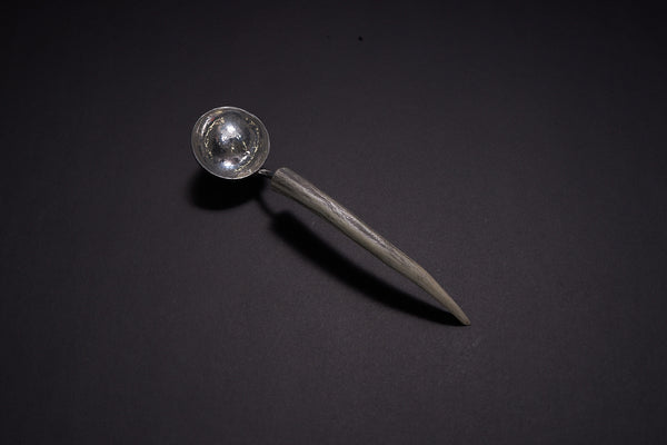 Silver Coffee Scoop