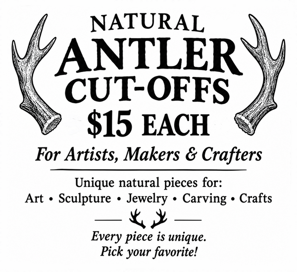 Natural Antler Cut-Offs For Crafts