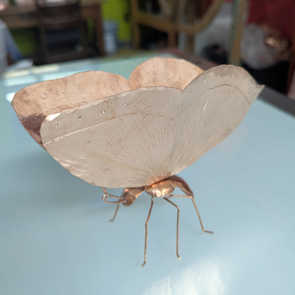 Buttercup the Butterfly