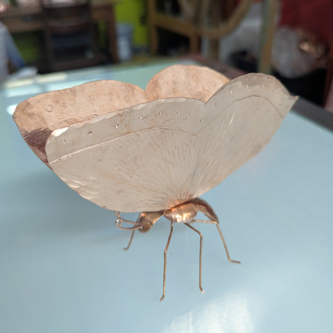 Buttercup the Butterfly