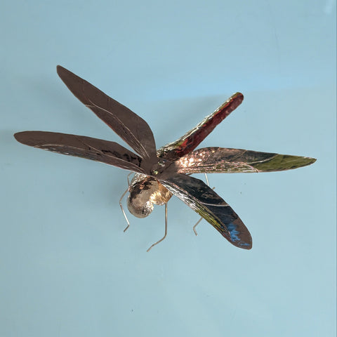 Pi the Dragonfly