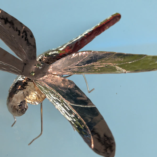 Pi the Dragonfly